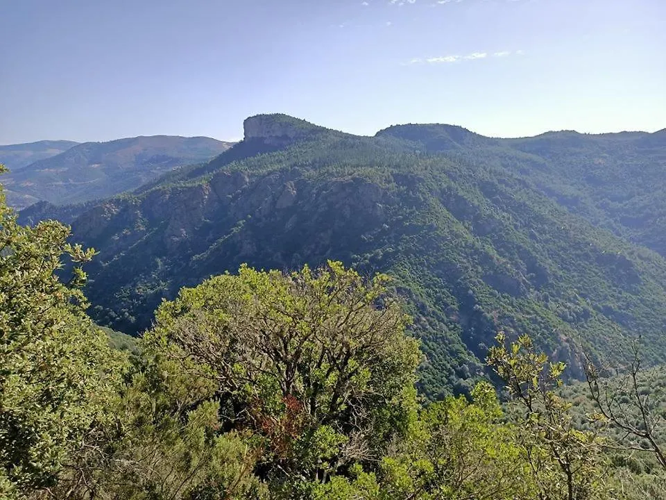 Sa Stiddiosa Guesthouse Gadoni